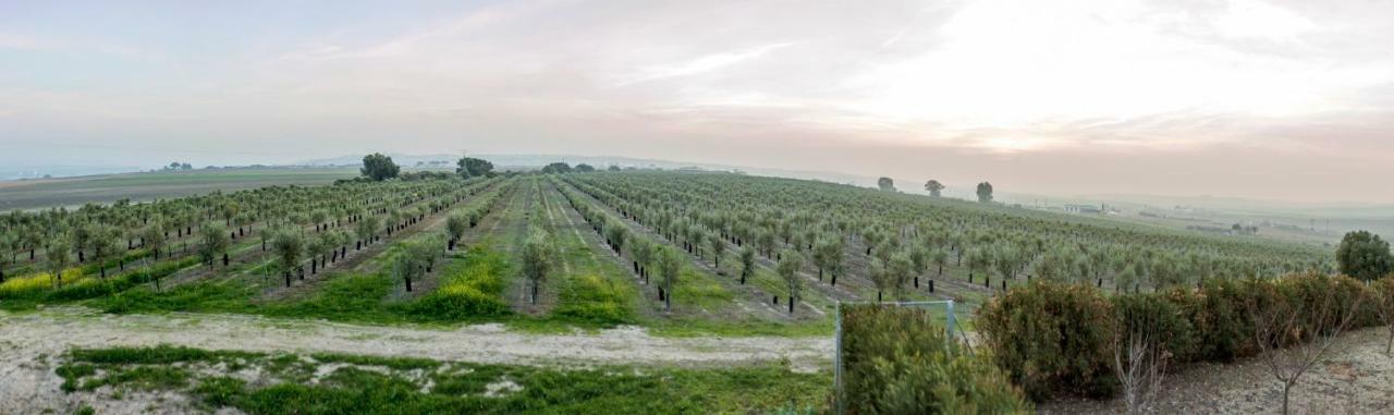 Vivienda Rural Olivar De San Telmo Arcos de la Frontera Bagian luar foto