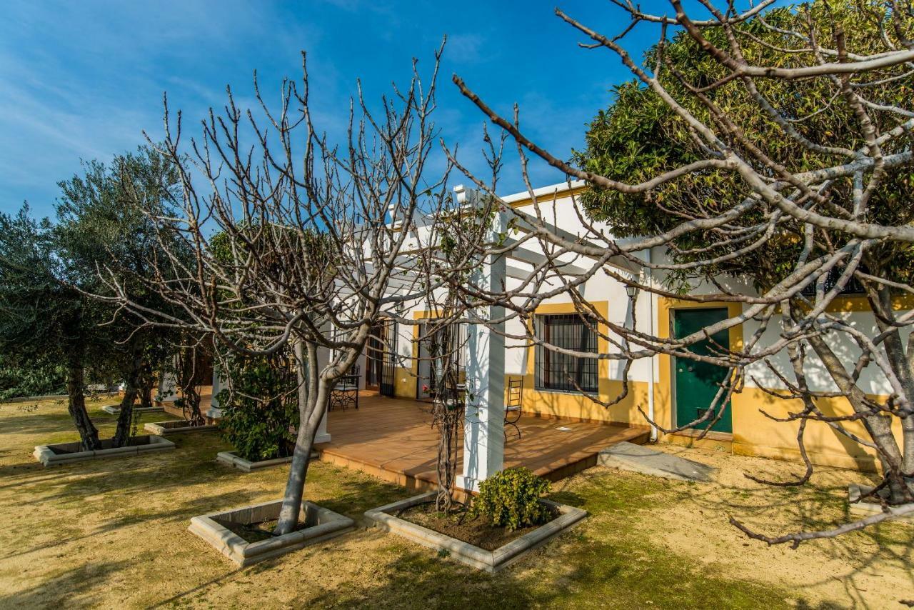 Vivienda Rural Olivar De San Telmo Arcos de la Frontera Bagian luar foto
