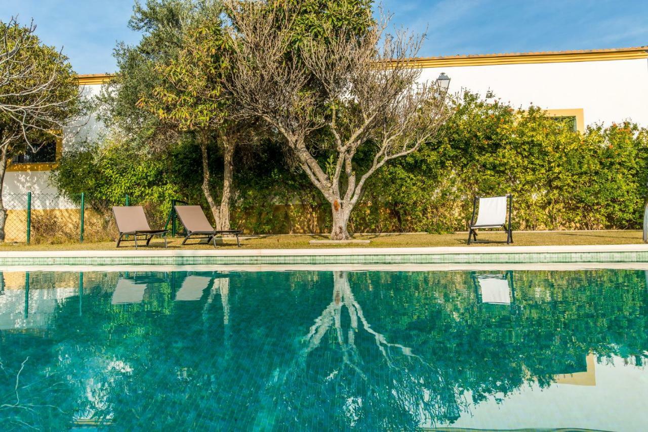 Vivienda Rural Olivar De San Telmo Arcos de la Frontera Bagian luar foto