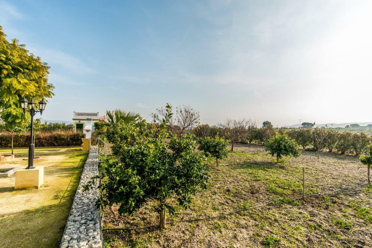Vivienda Rural Olivar De San Telmo Arcos de la Frontera Bagian luar foto