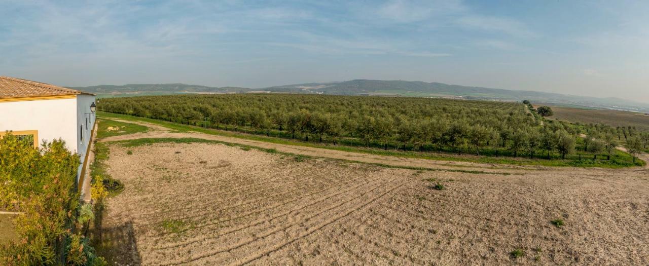 Vivienda Rural Olivar De San Telmo Arcos de la Frontera Bagian luar foto