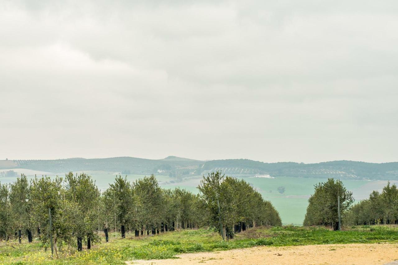 Vivienda Rural Olivar De San Telmo Arcos de la Frontera Bagian luar foto