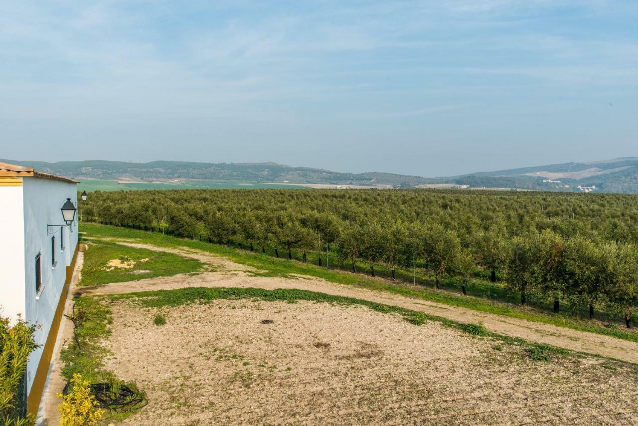 Vivienda Rural Olivar De San Telmo Arcos de la Frontera Bagian luar foto