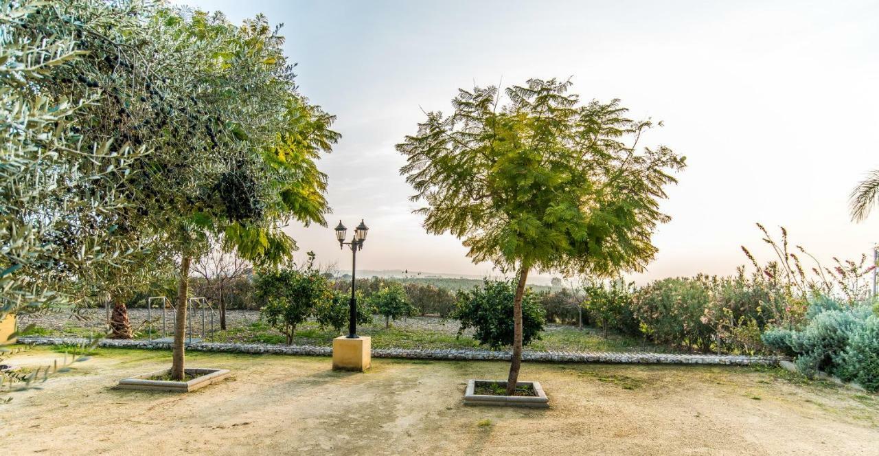 Vivienda Rural Olivar De San Telmo Arcos de la Frontera Bagian luar foto